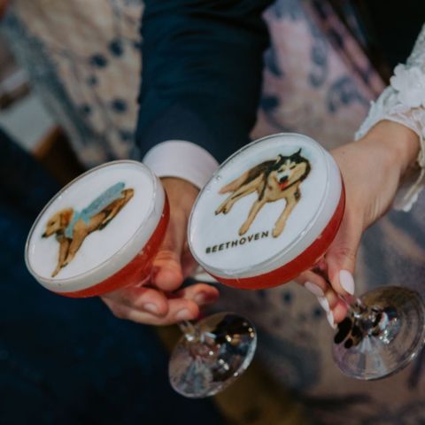 drink-signature
